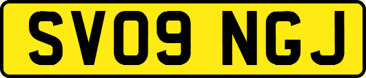 SV09NGJ