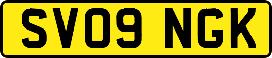SV09NGK