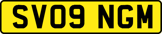 SV09NGM