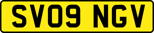 SV09NGV