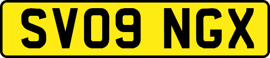 SV09NGX