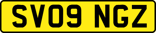 SV09NGZ