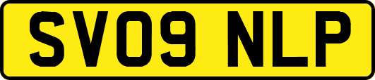 SV09NLP