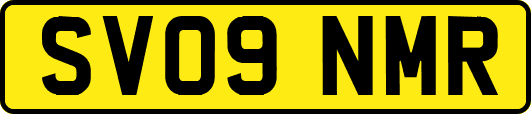 SV09NMR