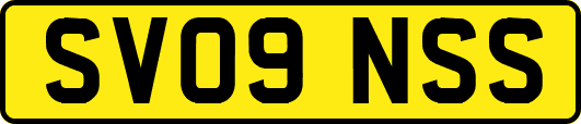 SV09NSS