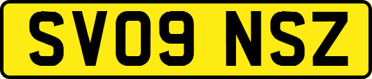 SV09NSZ