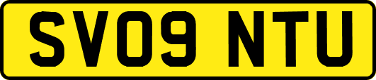 SV09NTU