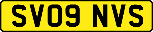 SV09NVS