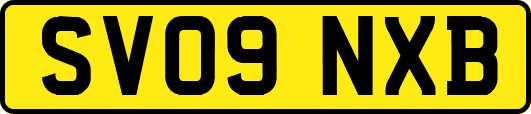 SV09NXB