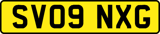 SV09NXG