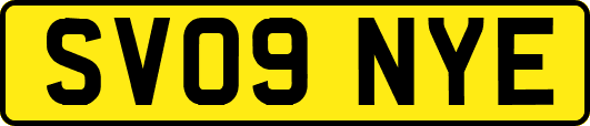 SV09NYE