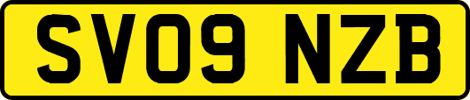 SV09NZB
