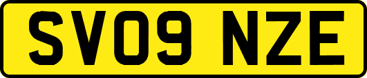 SV09NZE