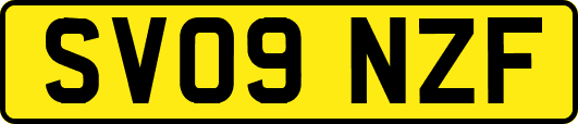 SV09NZF