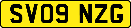 SV09NZG