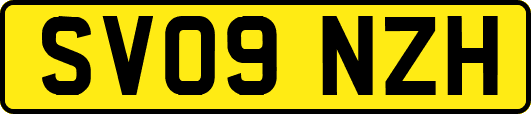 SV09NZH