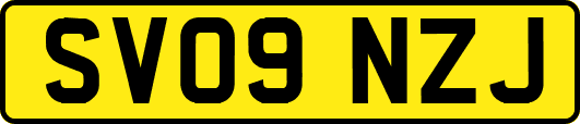 SV09NZJ