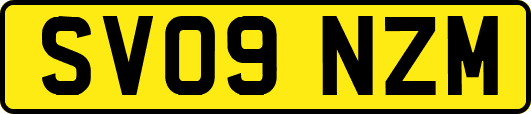 SV09NZM