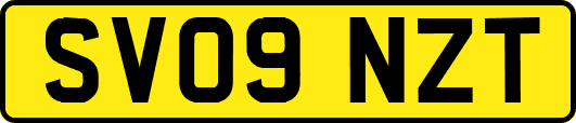 SV09NZT