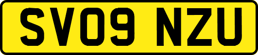 SV09NZU