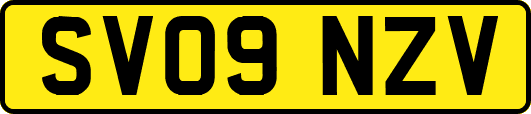 SV09NZV