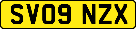 SV09NZX