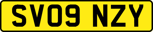 SV09NZY