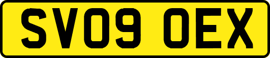SV09OEX