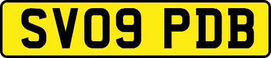 SV09PDB