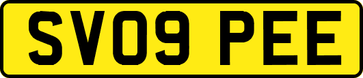 SV09PEE