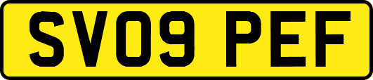 SV09PEF