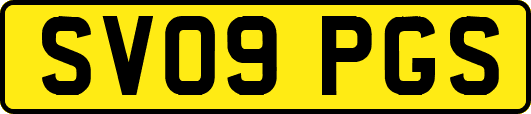 SV09PGS