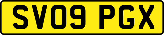 SV09PGX