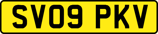 SV09PKV