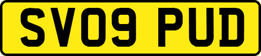 SV09PUD