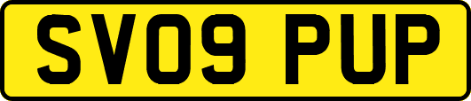 SV09PUP