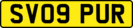 SV09PUR