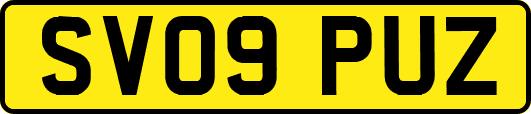 SV09PUZ