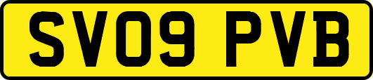 SV09PVB