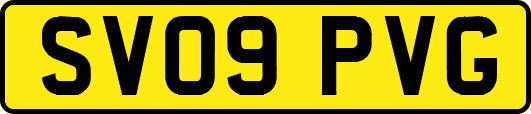 SV09PVG