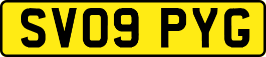 SV09PYG