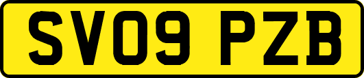 SV09PZB