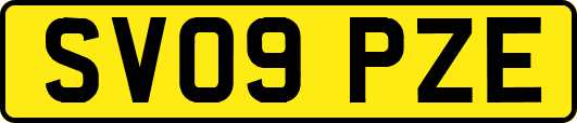 SV09PZE