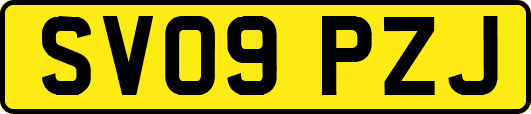 SV09PZJ