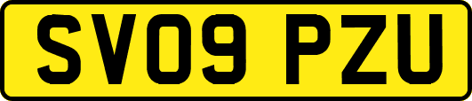 SV09PZU