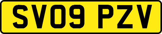 SV09PZV
