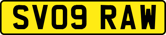 SV09RAW