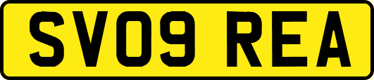 SV09REA