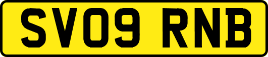 SV09RNB