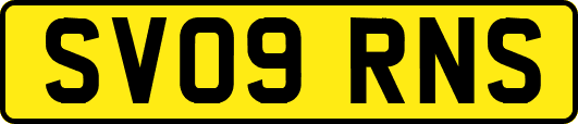 SV09RNS